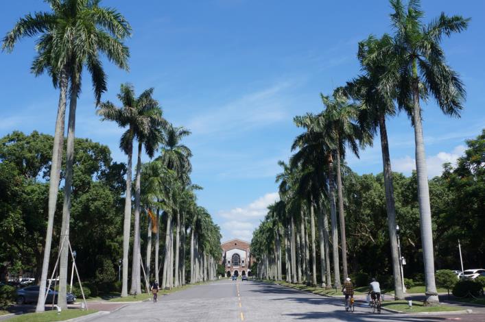 Royal Palm Boulevard